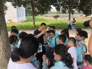 首府实验小学开展 红领巾走进污水处理厂 争当环保小卫士 暑期主题实践活动