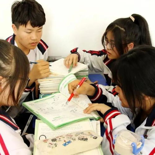 西安博爱学校发布2024年小升初意向摸底公告，仁爱小学毕业生请注意