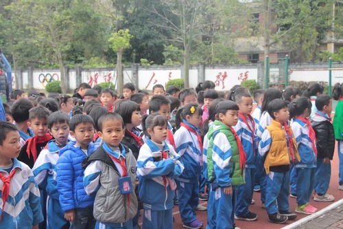 以棋会友爱传四方 广州市番禺区万豪儒林小学第一届 仁爱杯 围棋比赛